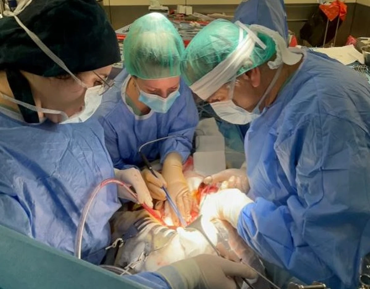 Specjaliści Warszawskiego Uniwersytetu Medycznego po raz pierwszy w Polsce przeszczepili dwóm dorosłym pacjentom wątrobę pobraną od jednego dawcy. Zabieg miał miejsce 4 stycznia. Jak poinformowano, pacjenci czują się dobrze.