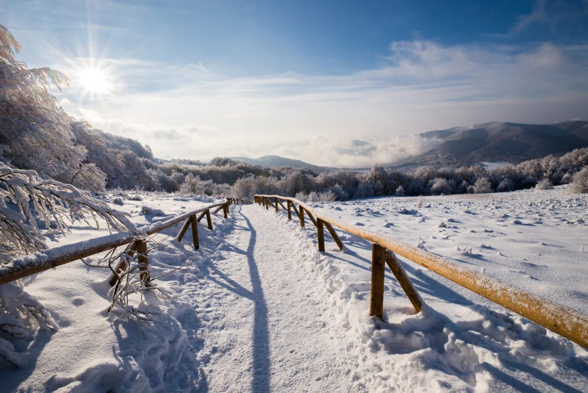 ​W górnych partiach Bieszczad nadal obowiązuje drugi - w pięciostopniowej, rosnącej skali - stopień zagrożenia lawinowego. W sobotę rano termometry pokazywały od trzech do sześciu stopni mrozu.