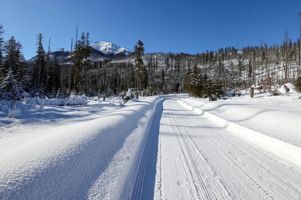 Od poniedziałku zimową przerwę w nauce rozpoczną m.in. uczniowie z Warszawy. Ten turnus pod Tatrami zawsze obfitował w gości. Obłożenie w hotelach na najbliższe dwa tygodnie jest na poziomie 70–80 proc. Są jeszcze miejsca w hotelu blisko Krupówek w cenie od 250 zł.