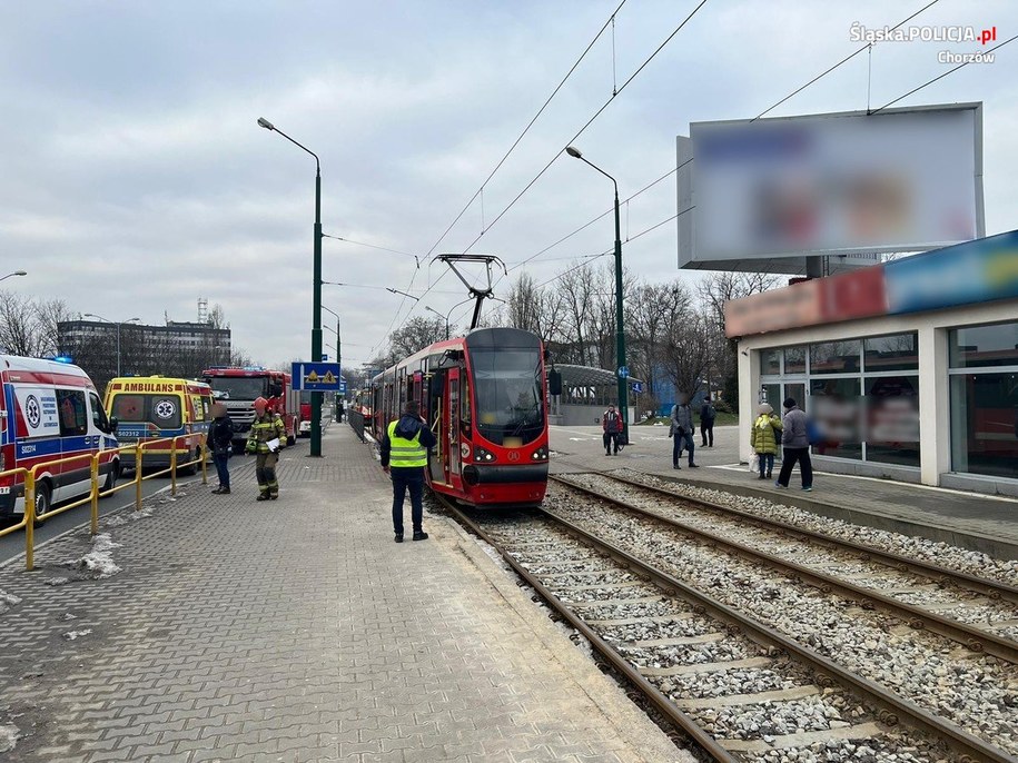 /Śląska policja /