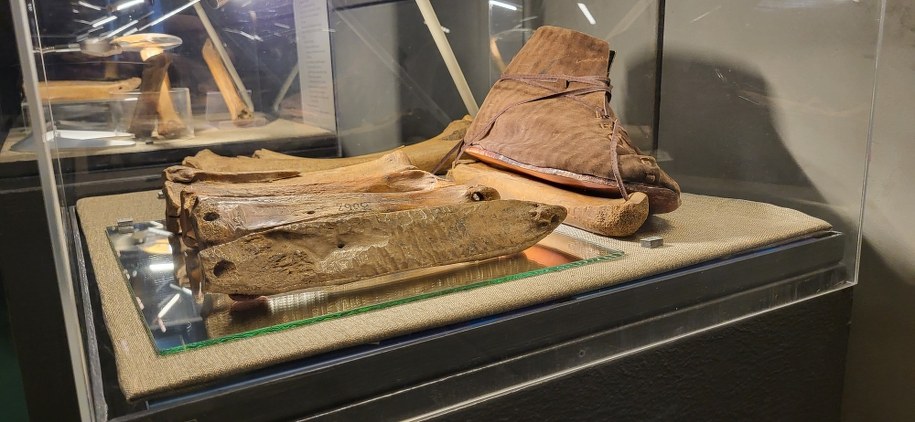 /Beniamin Piłat /RMF FM