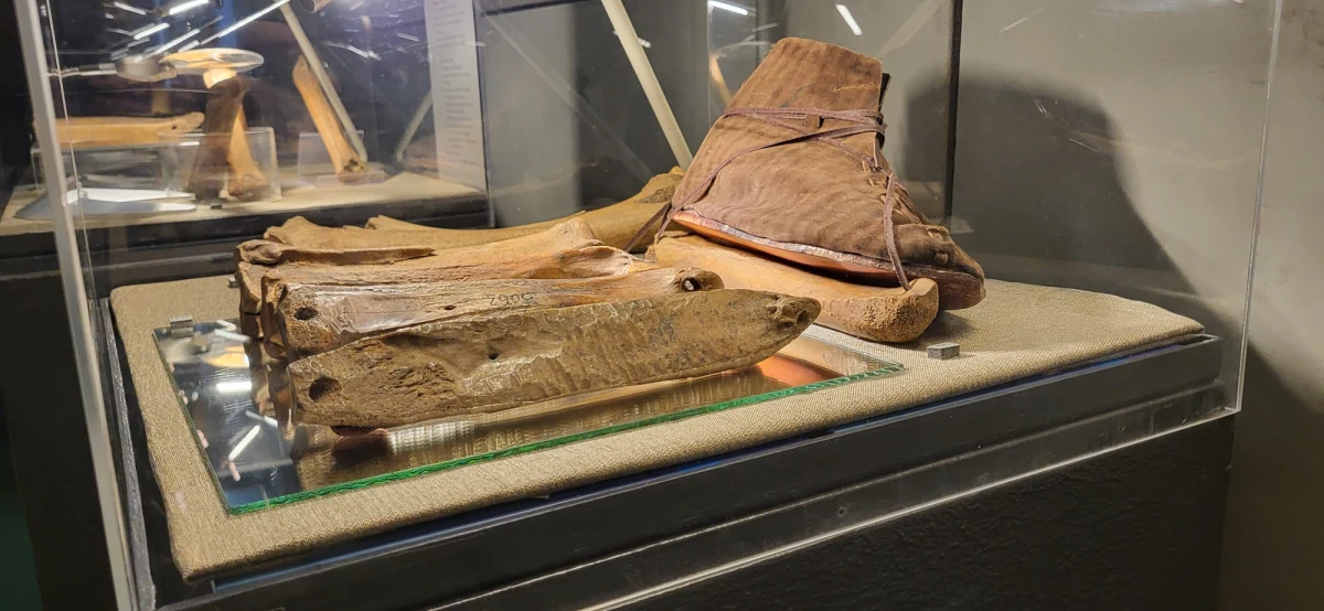 Poznański Rezerwat Archeologiczny Genius Loci - czyli Duch Miejsca zaprasza na wystawę pod hasłem "Średniowieczne lodowisko. Łyżwy i sanki najdawniejszych poznaniaków". Na odwiedzających czekają między innymi zachowane w bardzo dobrym stanie kościane łyżwy sprzed kilkuset lat.