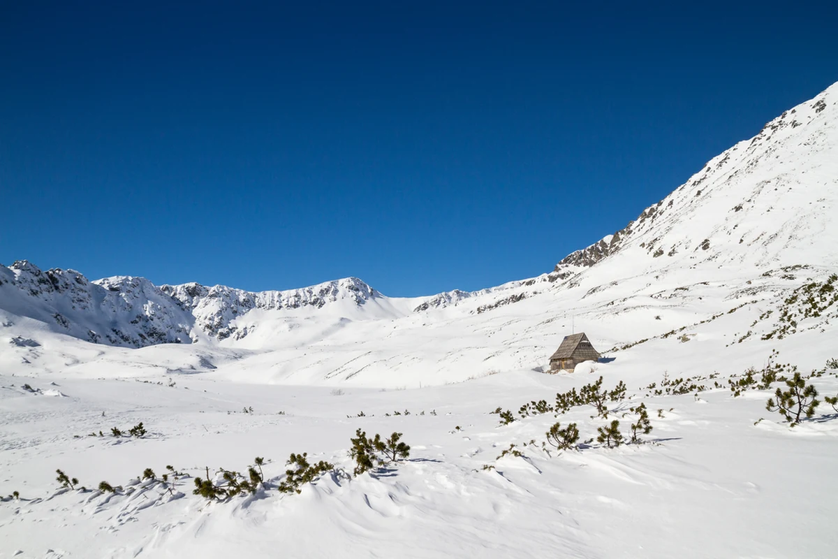 Turysta, którego 2 lutego pod Małym Kościelcem w Tatrach przysypała lawina śnieżna, zmarł w szpitalu. Taką informację przekazała we wtorek wicedyrektor zakopiańskiego szpitala dr Małgorzata Czaplińska.