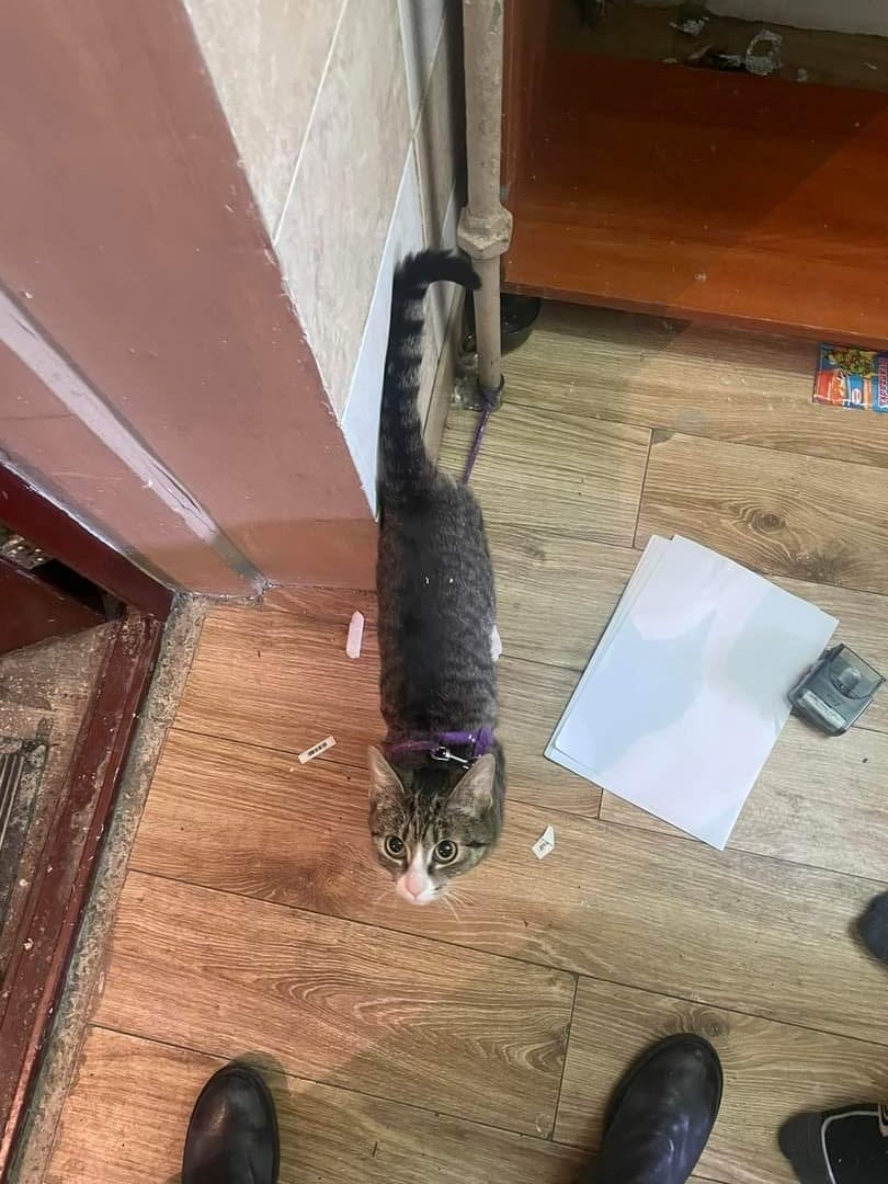 /EKOSTRAŻ Wrocław /Facebook