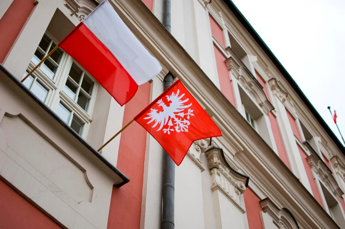 Wielkopolskie Towarzystwo Genealogiczne "Gniazdo" przygotowuje się do publikacji "Złotej Księgi uczestników Powstania Wielkopolskiego 1918-1919". W pierwszym tomie znajdzie się ok. 4 tys. nazwisk. W sumie opublikowanych będzie 12 tomów.