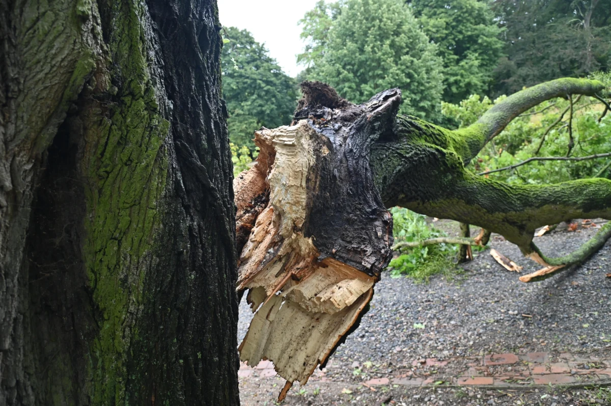 120 km/h – taką prędkość mogą mieć w weekend porywy wiatru na Wybrzeżu. Instytut Meteorologii i Gospodarki Wodnej ostrzega, że w piątek i sobotę ostrzeżenia przed silnym wiatrem mogą objąć całą Polskę. Przewiduje się, że w powiatach nadmorskich będą to alerty trzeciego stopnia.