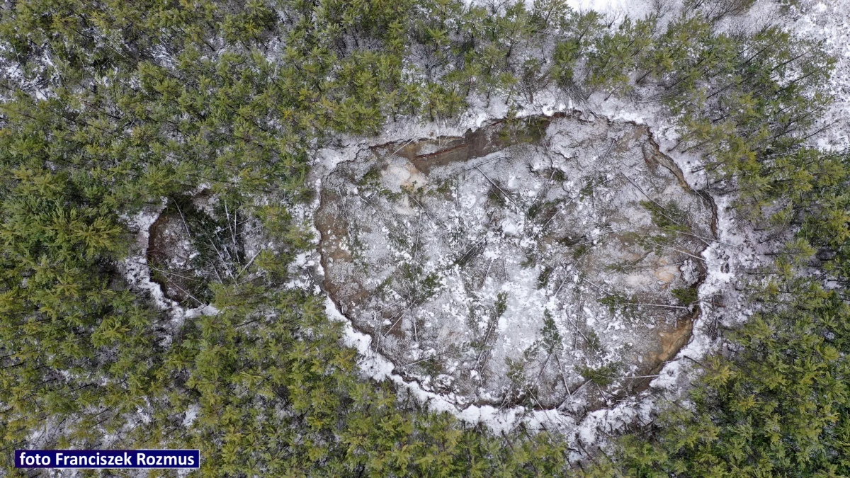 Nie tylko Trzebinia. Właśnie minął rok od pojawienia się pierwszego zapadliska w małopolskim Olkuszu; od tego czasu pojawiło się ich w sumie kilkadziesiąt. Na zdjęciach z drona widać ogromne leje, które pochłaniają po kilkanaście drzew. Na razie sytuacja dotyczy lasów, ale mieszkańcy coraz częściej zadają sobie pytanie, czy Olkuszowi grozi Trzebinia 2.0.?
