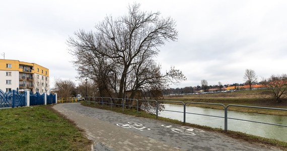 Sieć ścieżek rowerowych i terenów spacerowych nad rzeszowskim Wisłokiem zostanie rozbudowana. Jak informuje Urząd Miasta, nowy szlak powstanie na lewym brzegu rzeki.