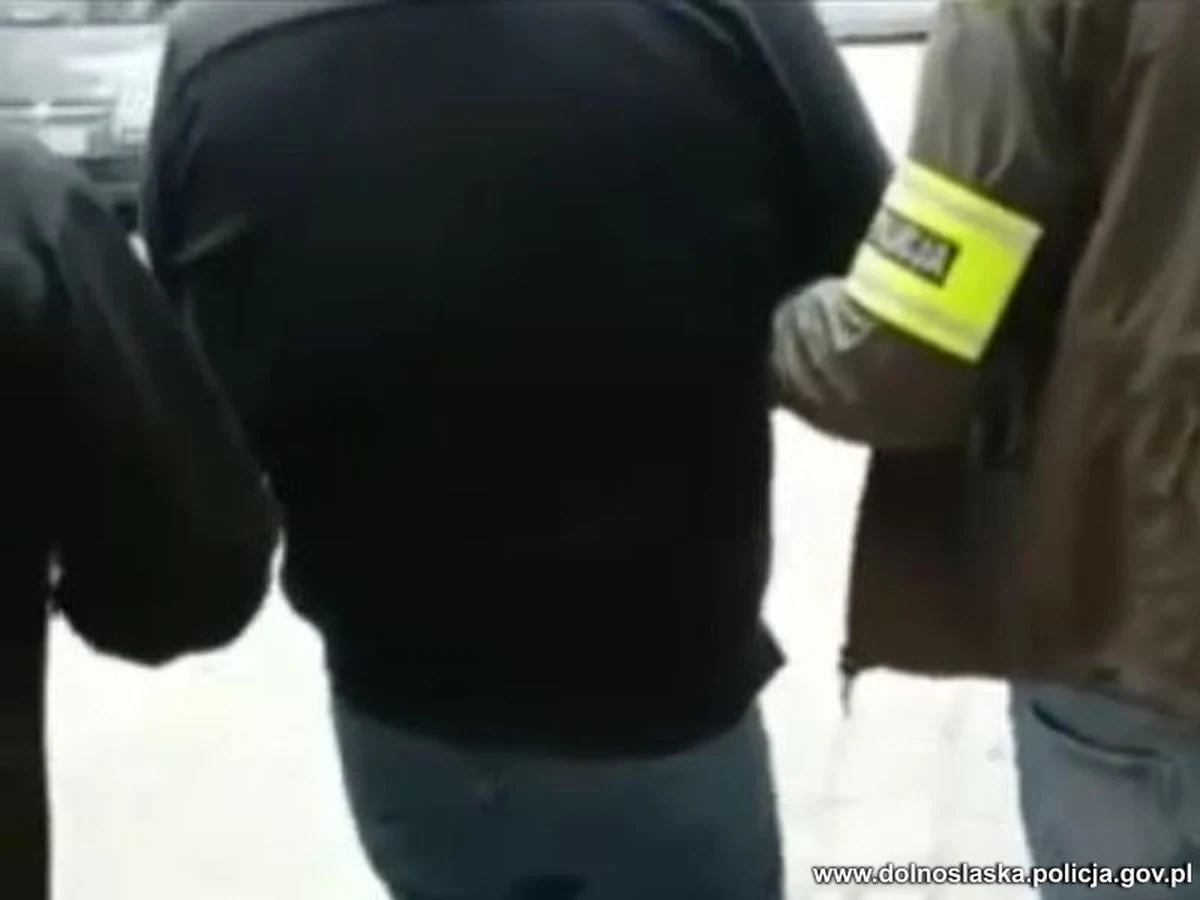 Wspólne działania polskich i niemieckich policjantów doprowadziły do zatrzymania 36-latka podejrzanego o kradzieże czujników tempomatów z luksusowych samochodów marki Audi, Mercedes i Volskwagen. Odzyskano części o wartości 100 tys. złotych, ale jak szacują śledczy straty, które ponieśli poszkodowani są duże wyższe i sięgają ponad 700 tys. złotych.          

