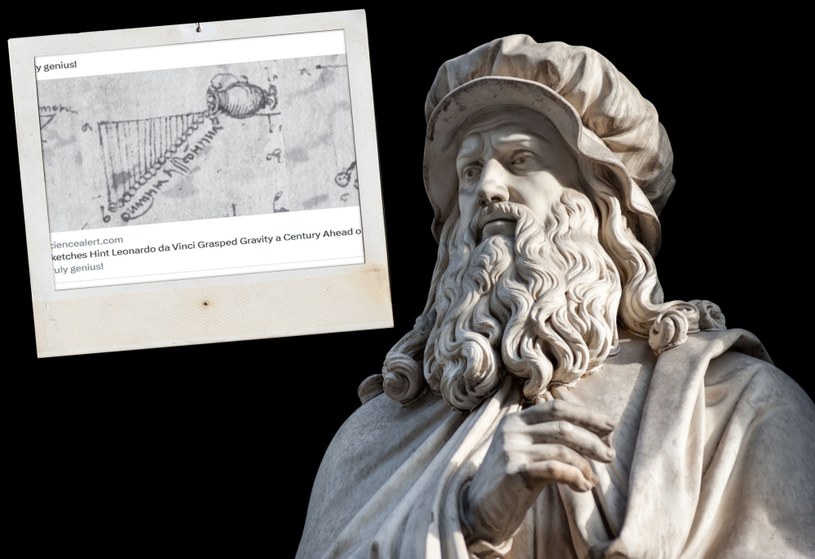 To Izaakowi Newtonowi przypisuje się sformułowanie teorii grawitacji, która objawiła mu się podczas obserwacji spadającego z drzewa jabłka, ale jak pokazują nowe badania, podstawowe aspekty przyciągania grawitacyjnego zostały również rozpoznane przez Leonarda da Vinci... ponad sto lat wcześniej!