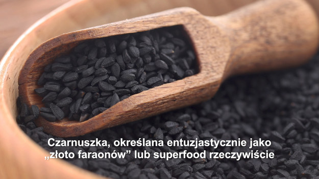 Czarnuszka, określana entuzjastycznie jako „złoto faraonów” lub superfood rzeczywiście ma doskonałe właściwości zdrowotne, co jest potwierdzone badaniami naukowymi. Nadaje się jako przyprawa do sałatek i kanapek, dodatek do zup, a także w formie oleju na zimno. Jednym z najciekawszych pomysłów jest ziołomiód z nasion czarnuszki, tak zwany „czarny słoik”. Znakomity deserowy syrop na poprawę odporności i infekcje.