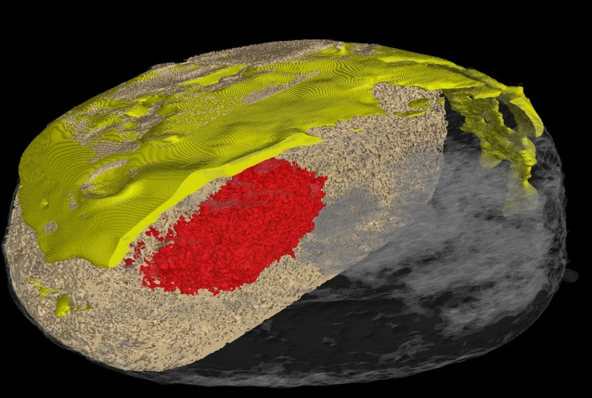 Z okazji Tłustego Czwartku pracownicy i studenci AGH wykorzystując zaplecze laboratoryjne swojej uczelni zbadali pączki. Do analizy wykorzystano między innymi  mikroskopy, tomografy, rozdrabniarki czy skaning laserowy. 