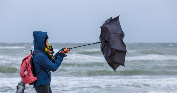 Nadchodzi wichura - ostrzegają synoptycy IMGW. Pod koniec tygodnia w Pomorskiem wiatr osiągnie 12 stopni w skali Beauforta.
