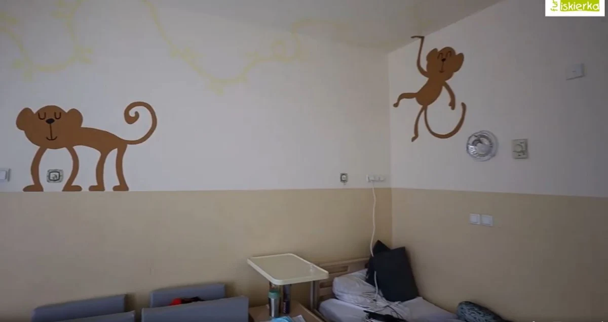 Dziś Międzynarodowy Dzień Walki z Nowotworami u Dzieci. Mali pacjenci często wiele tygodni spędzają w szpitalu, dlatego ważne jest, żeby otoczenie, w którym przebywają było jak najbardziej przyjazne. Oddział Hematologii i Onkologii Dziecięcej w Zespole Szpitali Miejskich w Chorzowie został wyremontowany.

