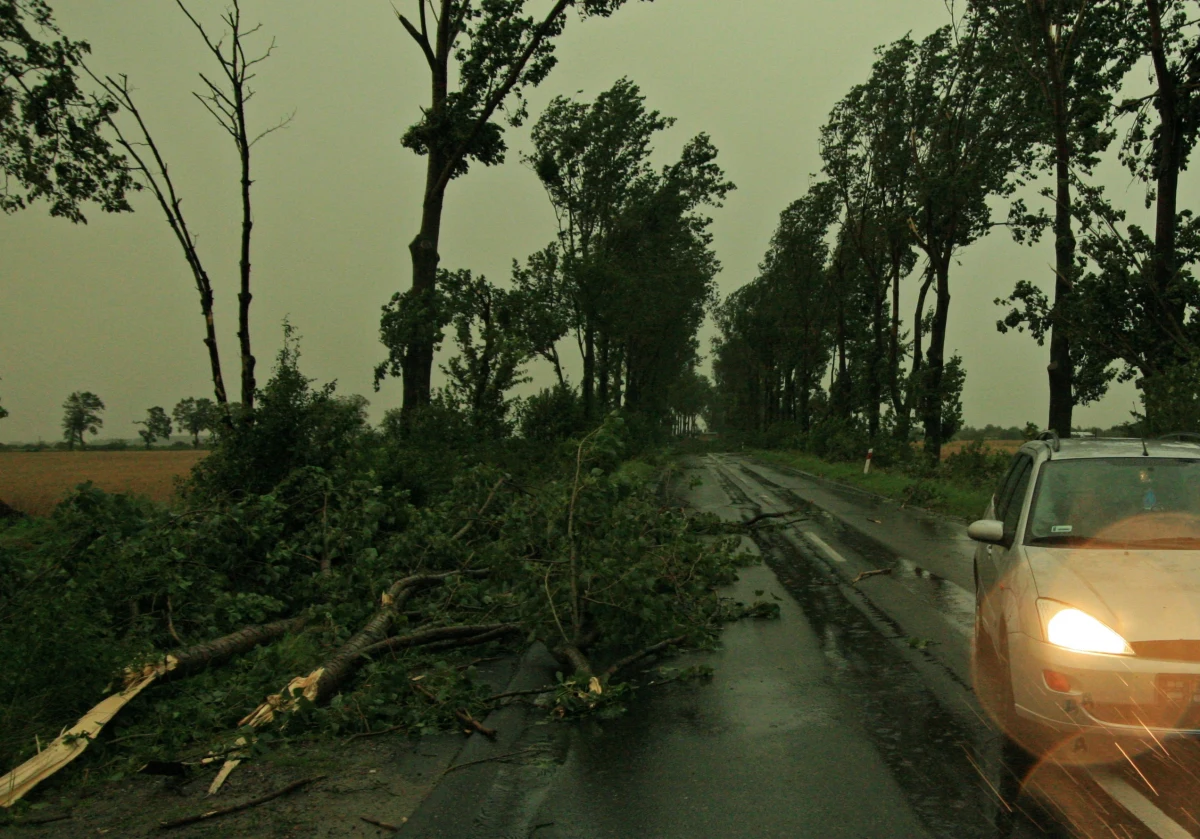 Huraganowy wiatr nad Polską, nawet do 125 km/h, możliwe trąby powietrzne, a także burze. Pogoda w weekend będzie naprawdę niebezpieczna - przestrzega rzecznik IMGW Grzegorz Walijewski.