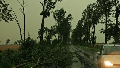 Huraganowy wiatr i burze. Niebezpieczne prognozy dla Polski