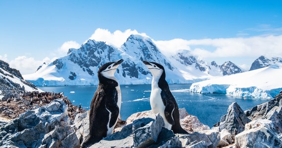 Powierzchnia pokrywy lodowej rozciągającej się wokół Antarktydy zmniejszyła się do 1,91 mln km kw. i jest to rekordowo niski wynik – informuje BBC.