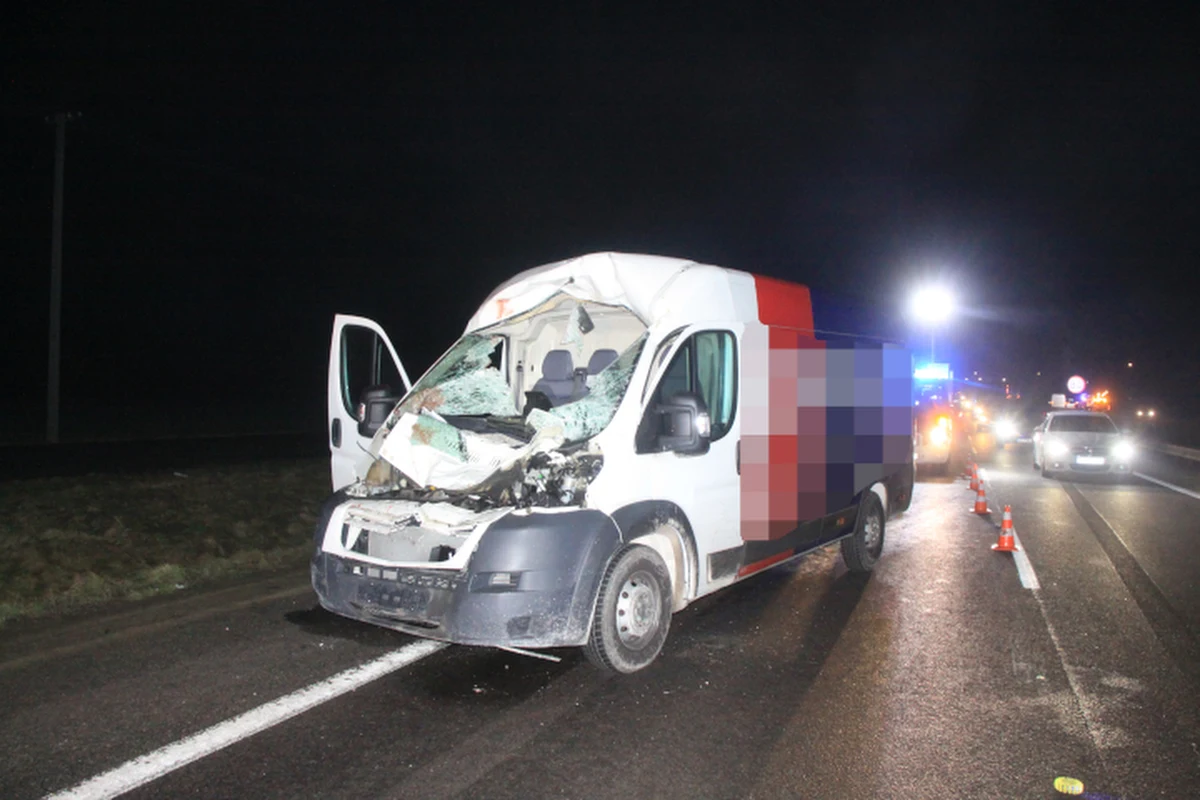 Cztery samochody osobowe zderzyły się z łosiem na DK 7 w Michałówku na Mazowszu. 2 osoby zostały ranne, na miejscu lądował śmigłowiec LPR.