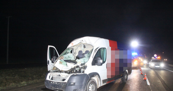 Cztery samochody osobowe zderzyły się z łosiem na DK 7 w Michałówku na Mazowszu. 2 osoby zostały ranne, na miejscu lądował śmigłowiec LPR.