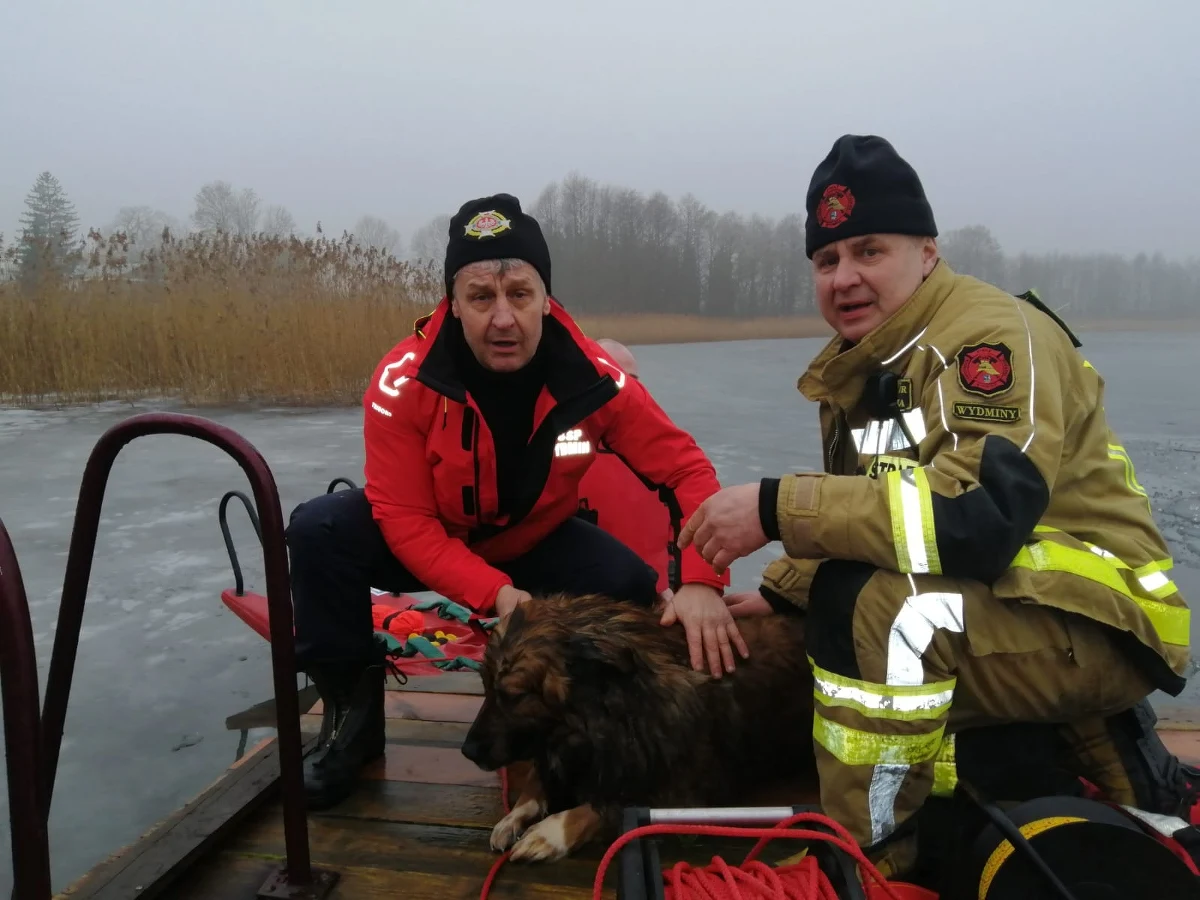 Strażacy ochotnicy uratowali w piątek psa, pod którym załamał się lód na mazurskim jeziorze Gawlik. "Udało się nam w ostatniej chwili, bo pies był tak osłabiony i wyziębiony, że już tonął" - przekazał PAP Jarosław Bereza z OSP Wydminy.

