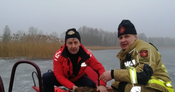 Strażacy ochotnicy uratowali w piątek psa, pod którym załamał się lód na mazurskim jeziorze Gawlik. "Udało się nam w ostatniej chwili, bo pies był tak osłabiony i wyziębiony, że już tonął" - przekazał PAP Jarosław Bereza z OSP Wydminy.


