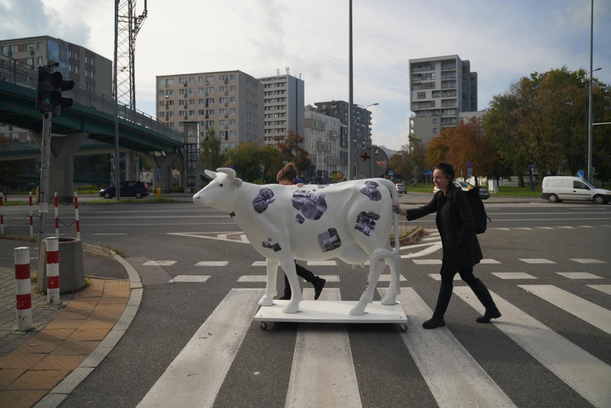 Potrzebujesz sita do przesiewania ziaren albo mat do fitnessu? Jeśli organizujesz na przykład sąsiedzkie spotkanie i nie masz potrzebnego sprzętu, możesz skorzystać z nietypowej wyszukiwarki i wypożyczyć rzeczy - za darmo.