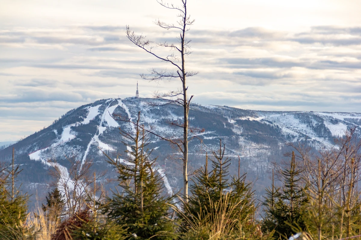 Przebudowę infrastruktury na Jaworzynie, w rejonie stacji pośredniej kolei linowej na Skrzyczne zapowiedział Centralny Ośrodek Sportu w Szczyrku. Jego dyrektor Tomasz Laszczak podał, że kosztem 15 mln zł z ministerstwa sportu powstać mają m.in. wyciąg i naśnieżana trasa.