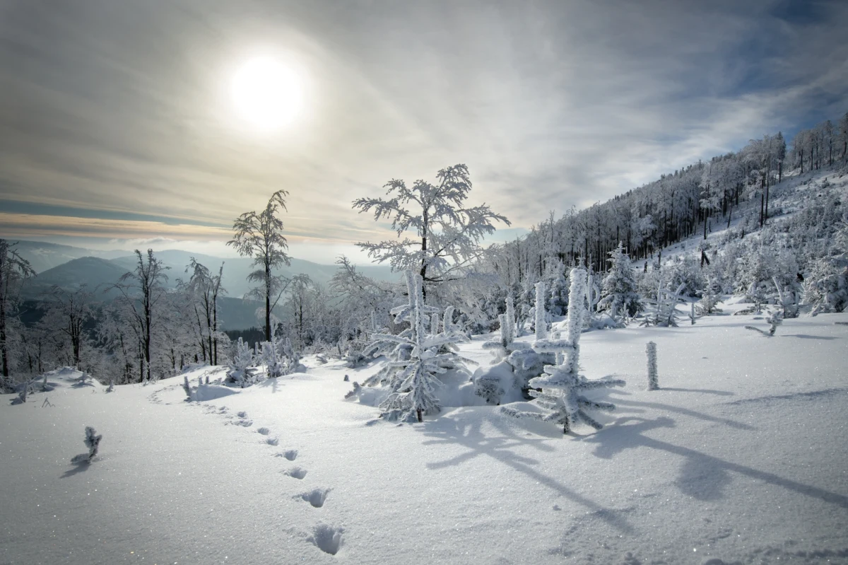 Pracowity weekend ratowników w Beskidach. Tylko wczoraj goprowcy musieli interweniować kilka razy.
