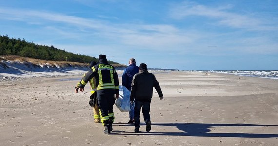 Ciało starszej kobiety znaleziono w niedzielę na plaży w Łebie. Po wstępnych oględzinach śledczy wykluczają, aby śmierć była efektem przestępstwa.

