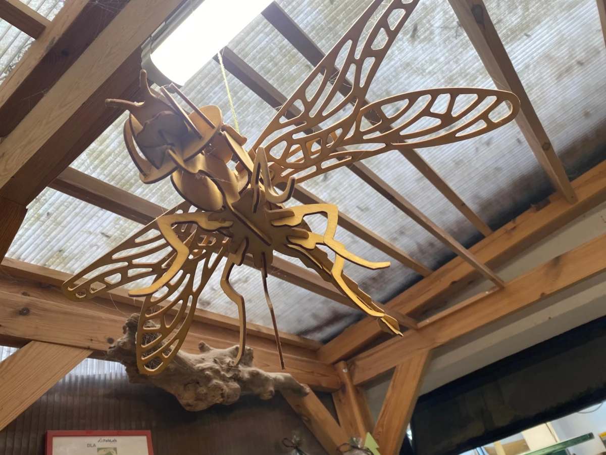 Odnowienie stolika, zbudowanie budki dla ptaków czy zrobienie drewnianej zabawki - m.in. takie rzeczy można zrobić w FabLabie Wbijaj - miejscu, w którym można nauczyć się majsterkować. Jest też FabLab Pobite Gary - pracownia muzyczna - i ArtLab, w którym można nauczyć się wykonywania ceramicznych naczyń i wyplatania makram. FabLaby to bezpłatne pracownie dla mieszkańców, które działają w Warszawie. 