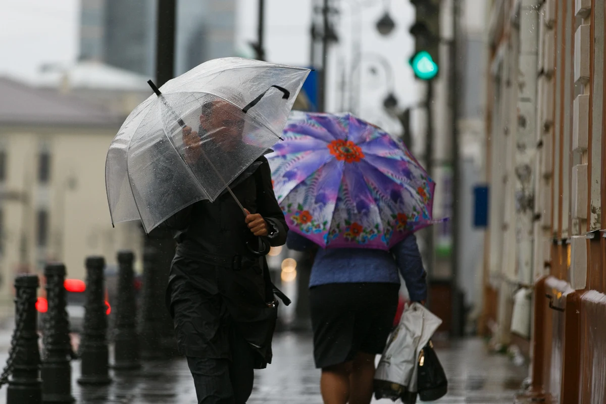 72 razy w ciągu ostatniej doby wyjeżdżali podkarpaccy strażacy do usuwania skutków silnych podmuchów wiatru oraz intensywnych opadów deszczu. Na szczęście nikt nie został ranny. 