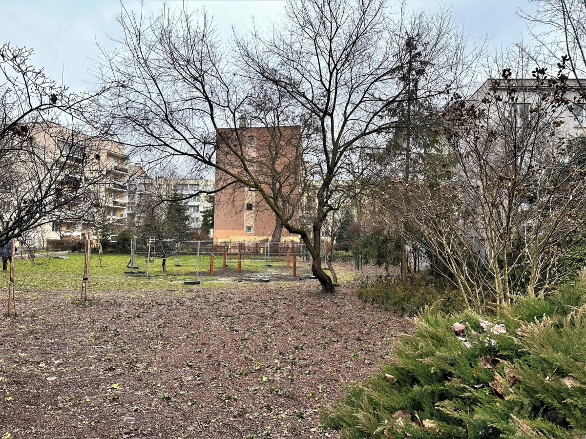 Takich miejsc nigdy za wiele. Już niedługo mieszkańcy Krakowa będą się mogli wyciszyć w Ogrodzie Ciszy. To wyjątkowe miejsce powstaje w Parku Młynówka.