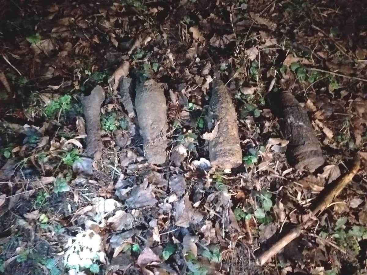 Podczas prac ziemnych w Macinkowicach, w powiecie nowosądeckim,  znaleziono niebezpieczne pociski z czasów II wojny światowej. Teren został zabezpieczony. Niewybuchy zostały zabrane przez saperów na poligon.