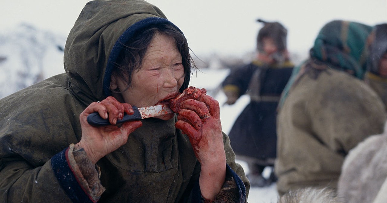 Uważają żywność ze sklepu za gorszą. Jedzą surowe mięso renifera i foki