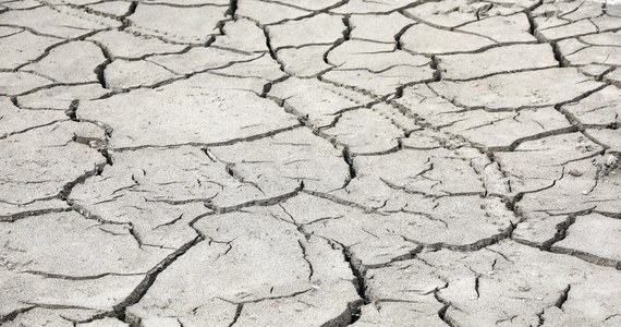 Francuski minister transformacji ekologicznej i spójności terytorialnej ogłosił wprowadzenie stanu wyjątkowego w związku z bezprecedensową suszą. Francja od miesiąca nie zanotowała opadów przekraczających 1 mm. 