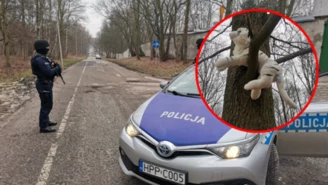 Ucieczka pantery śnieżnej z chorzowskiego zoo. Policja znalazła futrzaka