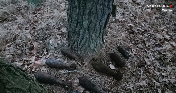 Powojenne pociski w foliowym worku znalazł w lesie w miejscowości Gostyń mężczyzna spacerujący z psem. Ktoś prawdopodobnie przyniósł niewybuchy do lasu i tam je zostawił. Sprawą zajmuje się policja i prokuratura. 