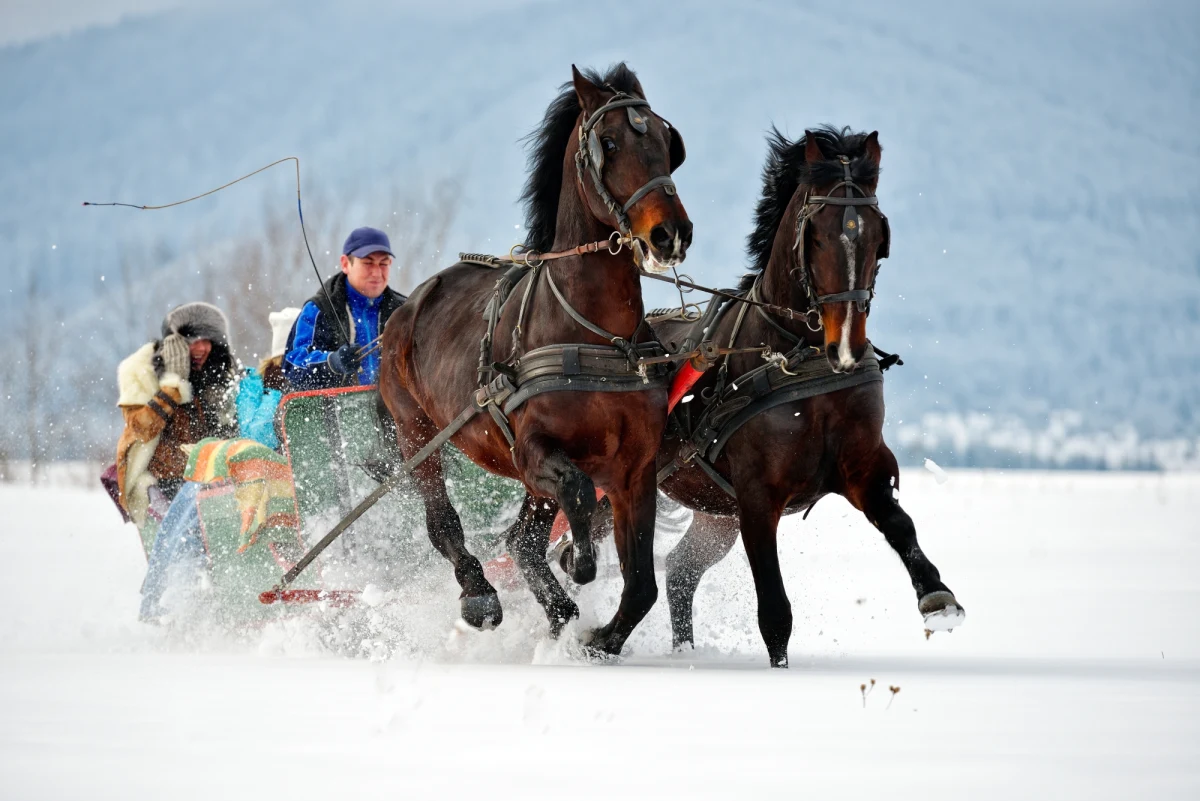 W niedzielę prezydent Andrzej Duda wybiera się na kulig w Tatry wraz z niemal całym korpusem dyplomatycznym akredytowanym w naszym kraju. Jak ustalił reporter RMF FM goście oprócz przejażdżki zaprzęgniętym w konie sańmi przez Dolinę Chochołowska, spróbują lokalnych specjałów kulinarnych.    