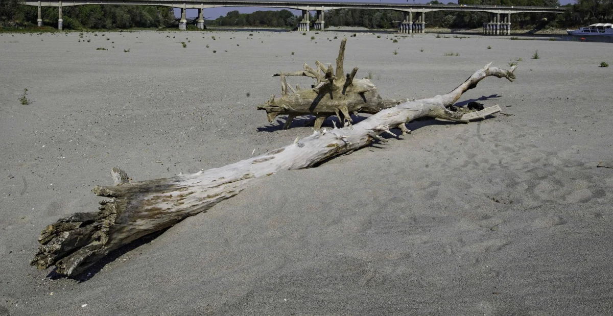 Na niektórych obszarach Włoch może zostać wprowadzone racjonowanie wody z powodu suszy - taką ewentualność przedstawił minister środowiska i bezpieczeństwa energetycznego Gilberto Picheto Frartin. Eksperci ostrzegli, że skutki mogą dotknąć 3,5 miliona Włochów. "Problem suszy jest poważny" - przyznał szef resortu. 