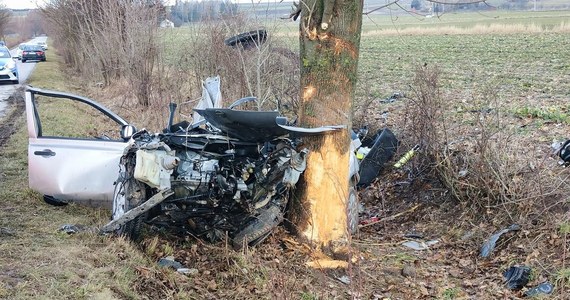 Nie żyje 19-letni kierowca osobowego auta. Jego samochód wypadł z drogi i uderzył w drzewo. Do tragedii doszło w Lubelskiem. 