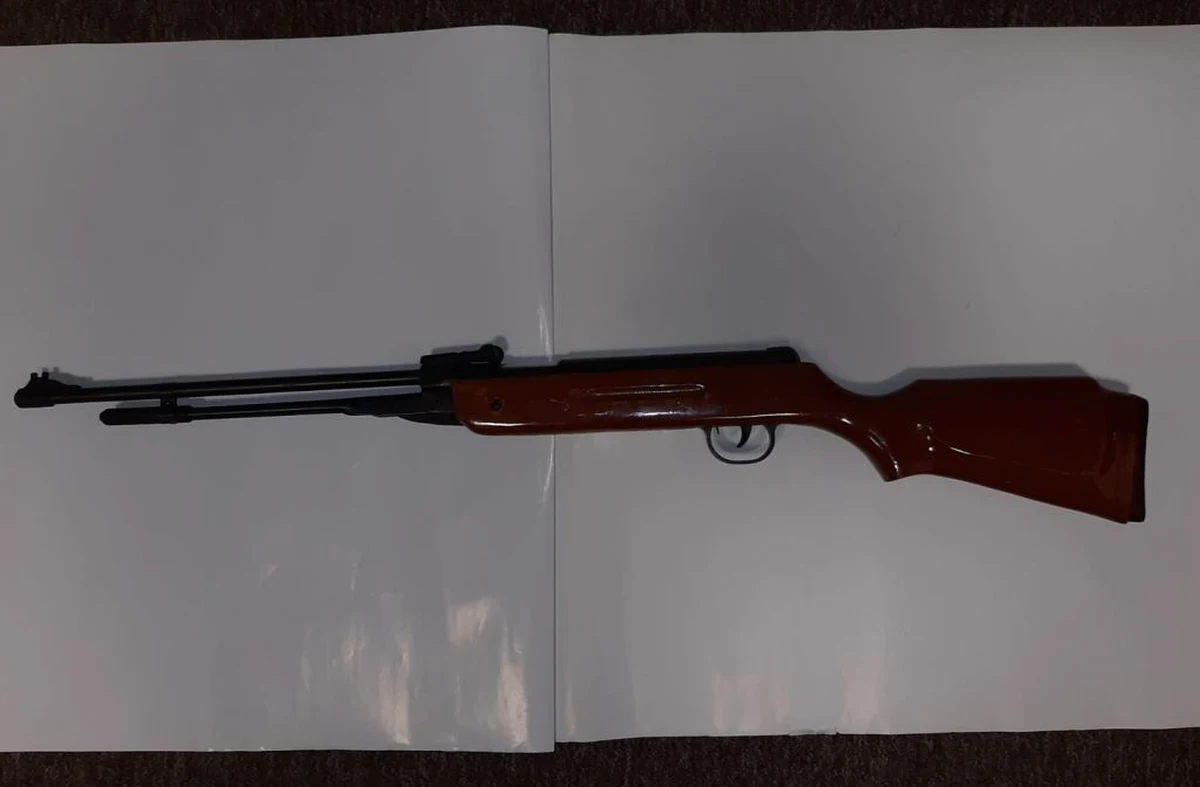 Nawet do trzech lat wolności grozi 52-latkowi, który w podkarpackim Manasterzu postrzelił z wiatrówki psa. Mężczyzna przyznał się do winy. Usłyszał zarzut znęcania się nad zwierzęciem.          

