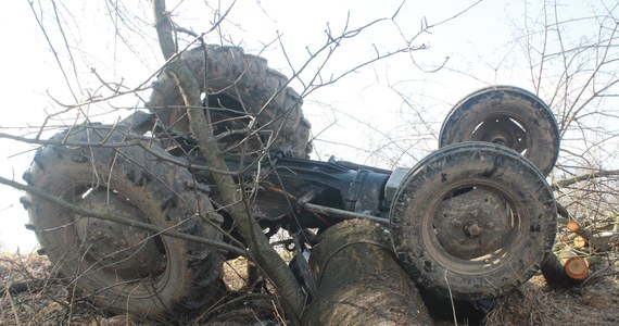 67-letni mężczyzna zginął w wypadku w Głębowicach w Małopolsce podczas prac związanych z wycinką drzewa. Przygniótł go traktor - poinformowała rzecznik oświęcimskiej policji asp. szt. Małgorzata Jurecka.