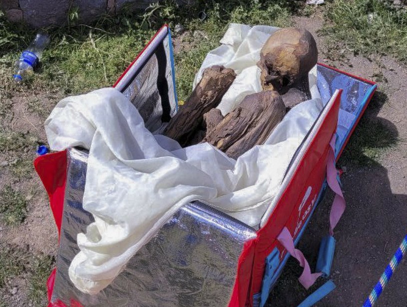 Podczas gdy naukowcy intensyfikują wysiłki mające na celu ochronę i zachowanie reliktów przeszłości w jak najlepszym stanie dla kolejnych pokoleń, inni pakują kilkusetletnie mumie w torby dostawcze i zabierają do parku, żeby pochwalić się znajomym. 
