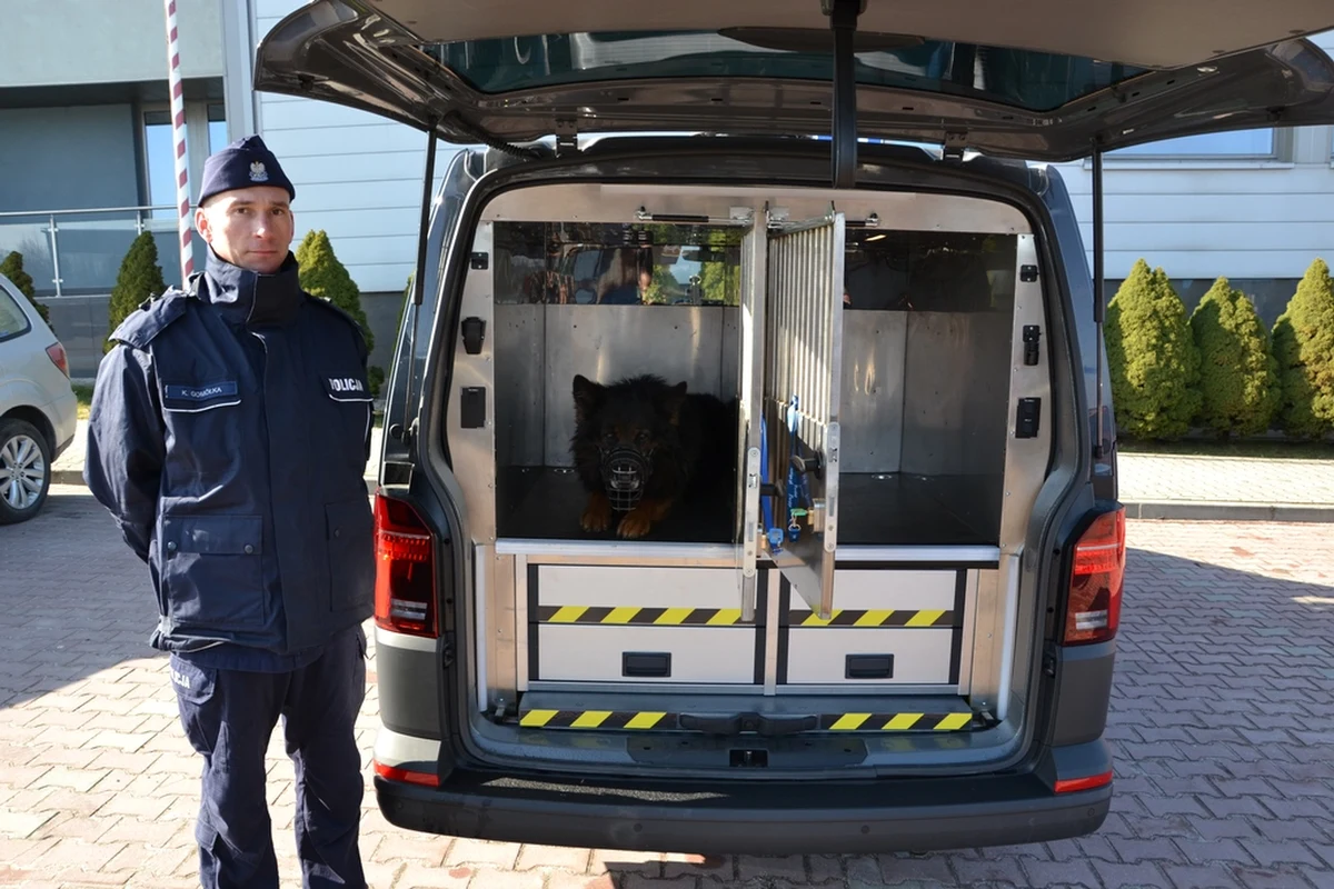 Psy, wykorzystując swój wyostrzony zmysł węchu, w nieoceniony sposób pomagają policjantom w codziennej służbie. Teraz dzięki nowoczesnemu radiowozowi funkcjonariusze Wydziału Prewencji sądeckiej komendy będą mogli zapewnić im komfortowy i bezpieczny transport na miejsce interwencji czy szkolenia.