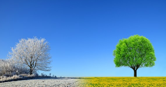 Z wymianą opon na letnie należy się jeszcze wstrzymać. W najbliższy weekend w całym kraju powróci mroźna i śnieżna zima. Dopiero po 15 marca w Polsce wystrzeli wiosna - zapowiedział w internetowym Radiu RMF24 Grzegorz Walijewski z IMGW.