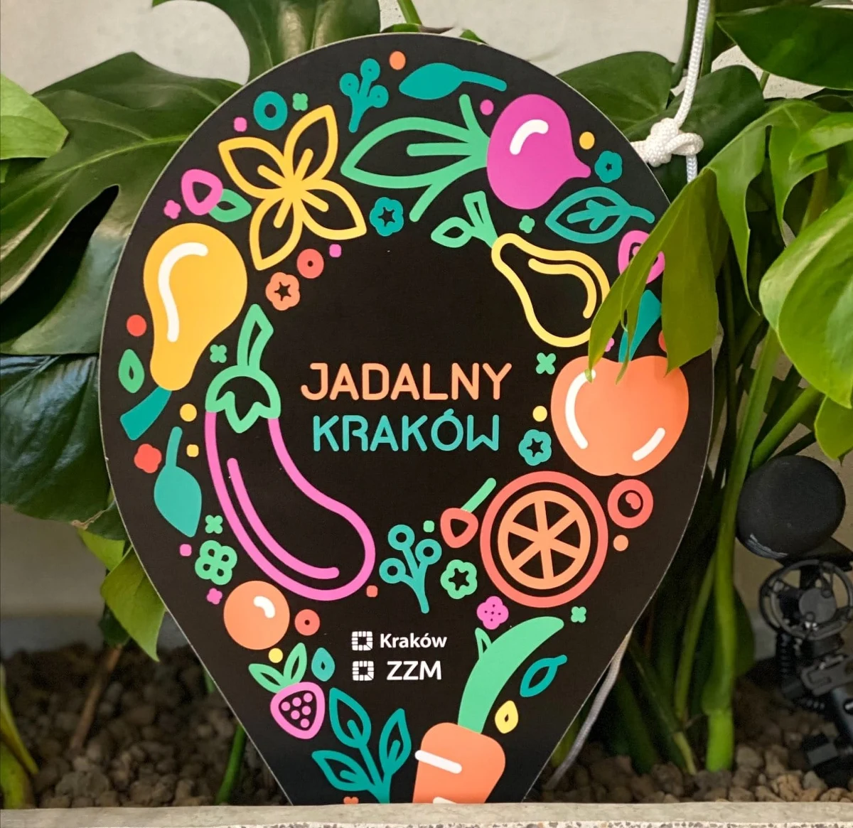 Zachęta do zakupu warzyw na miejskich targowiskach czy do miejskiego rolnictwa - to główne cele ruszającego właśnie projektu "Jadalny Kraków". Jednostki miejskie wraz z organizacjami i instytucjami kultury, chcą promować postawy ekologiczne i prozdrowotne.