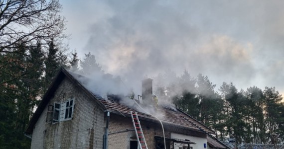 Jedna osoba zginęła w pożarze, który wybuchł nad ranem w domu wielorodzinnym w Nagladach koło Gietrzwałdu (woj. warmińsko-mazurskie). Jeszcze przed przyjazdem służb z budynku ewakuowało się pięć osób.