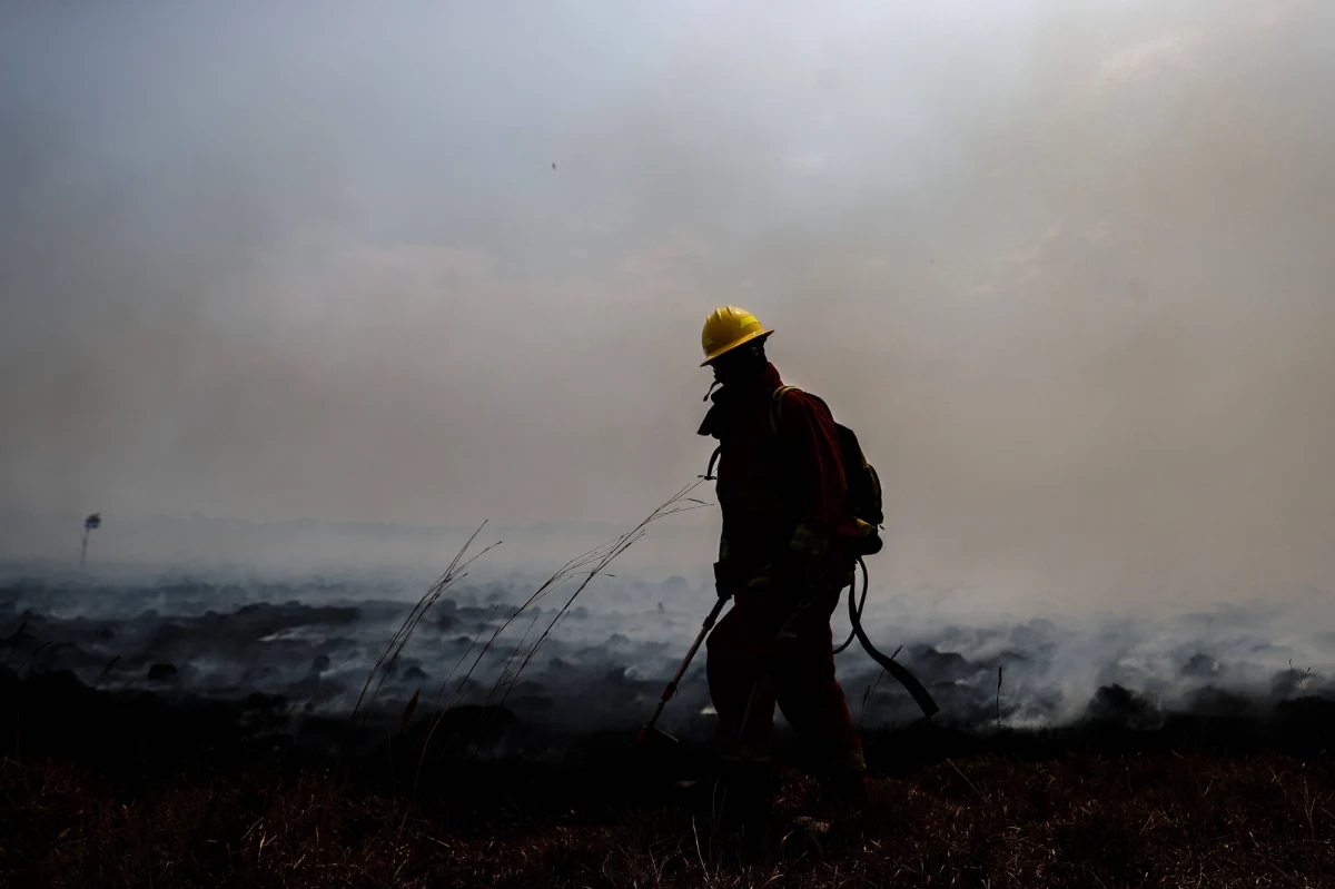 Ponad połowa Argentyny, w tym jej stolica Buenos Aires, została pozbawiona prądu z powodu pożaru, który uszkodził sieć energetyczną - informuje BBC. Pożar wybuchł na otwartym terenie, uszkadzając najważniejsze linie energetyczne w strefie przybrzeżnej i powodując wyłączenie elektrowni atomowej.