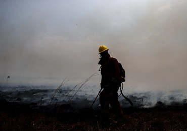 Argentyna: Miliony osób bez prądu z powodu pożaru