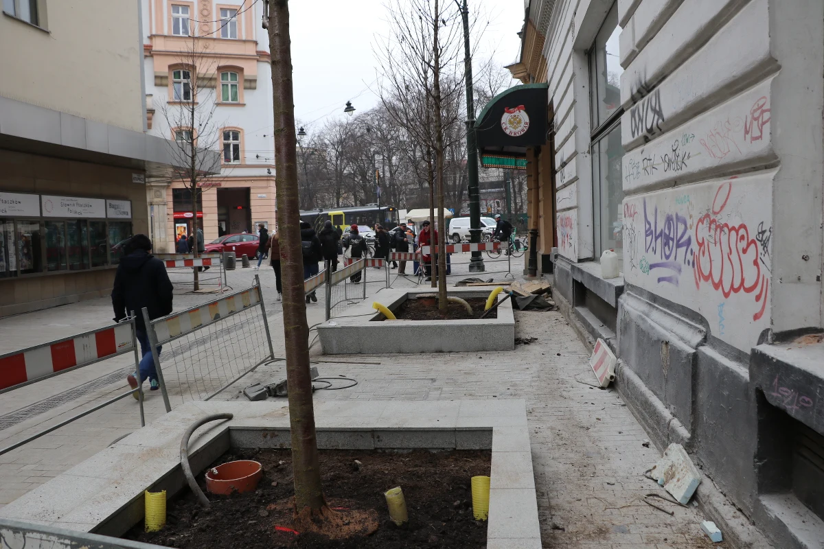 Na remontowanej ul. Krupniczej pojawiły się pierwsze drzewa. Już wkrótce nasadzone czereśnie ptasie Plena oraz olsze czarne zazielenią to miejsce. Projekt zielonej rewolucji na ul. Krupniczej jest realizowany dzięki mieszkańcom, którzy zgłosili to zadanie w budżecie obywatelskim. Koniec prac zaplanowano na 30 kwietnia.